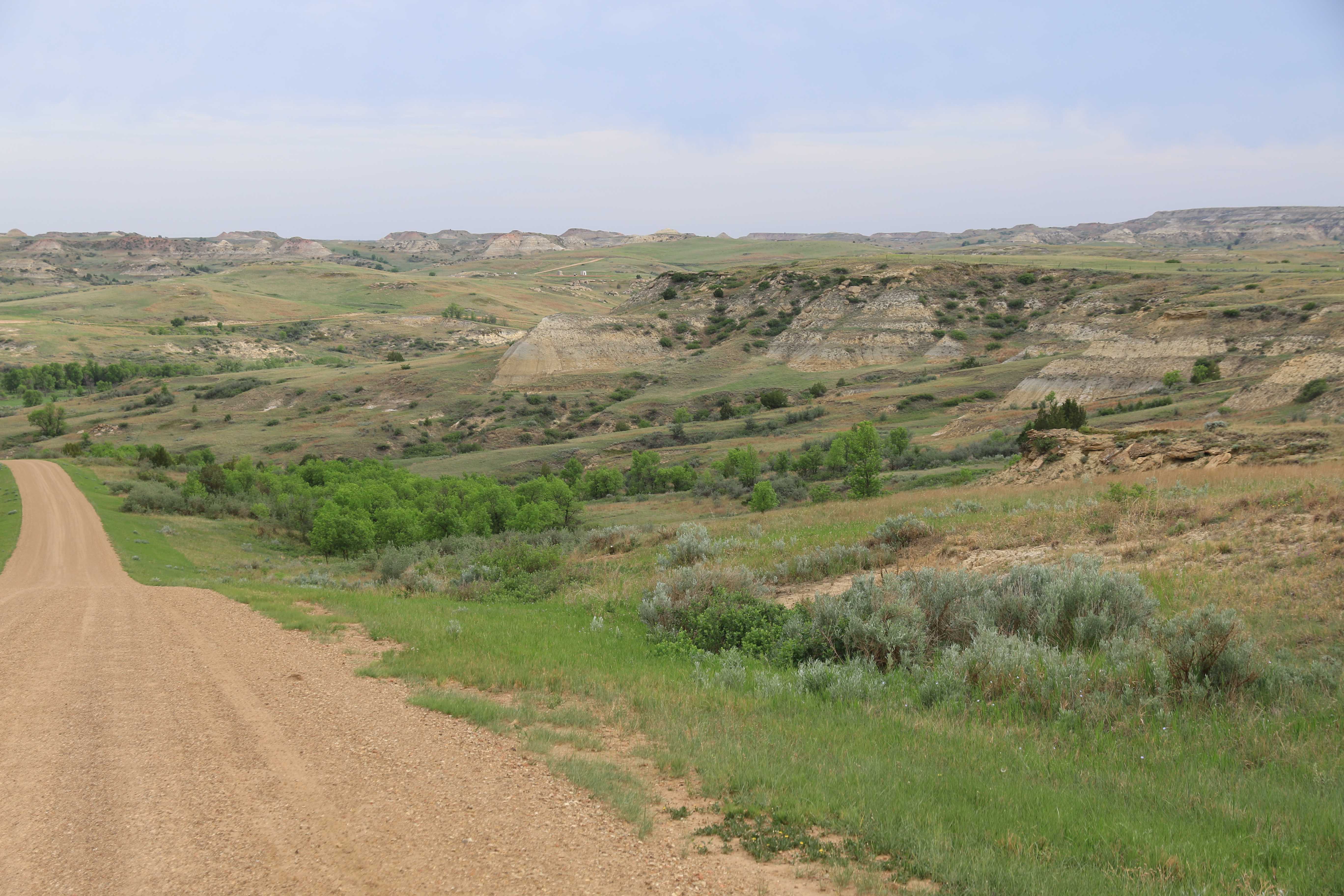 Theodore Roosevelt NP